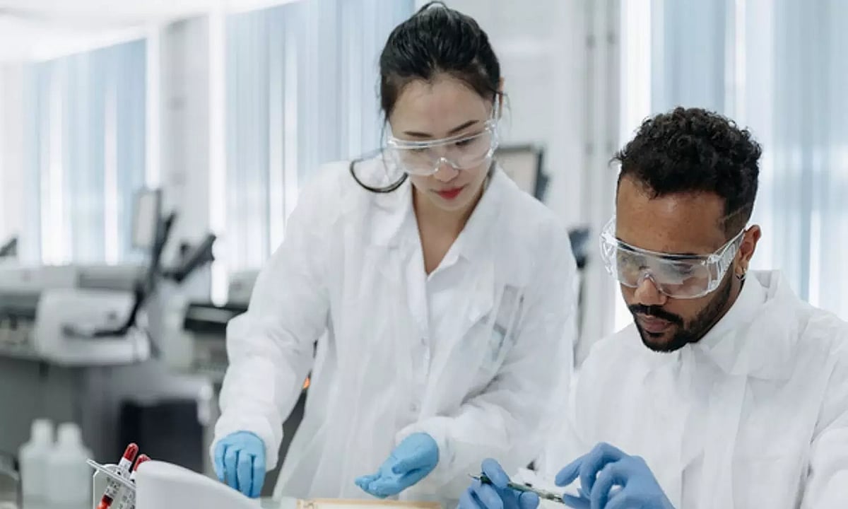 Study finds training gut’s immune system to fight harmful effects of ...