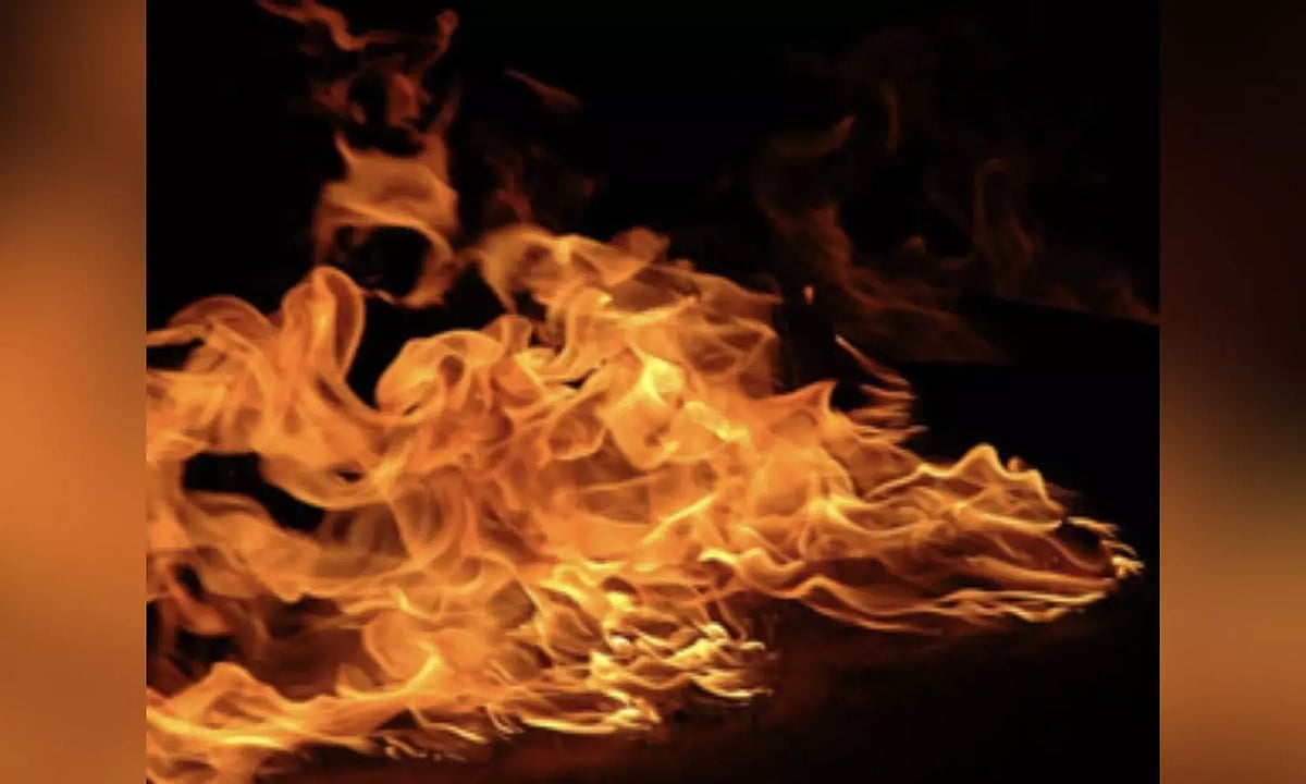 Schoolboy trying to set fire to beehive suffers burns