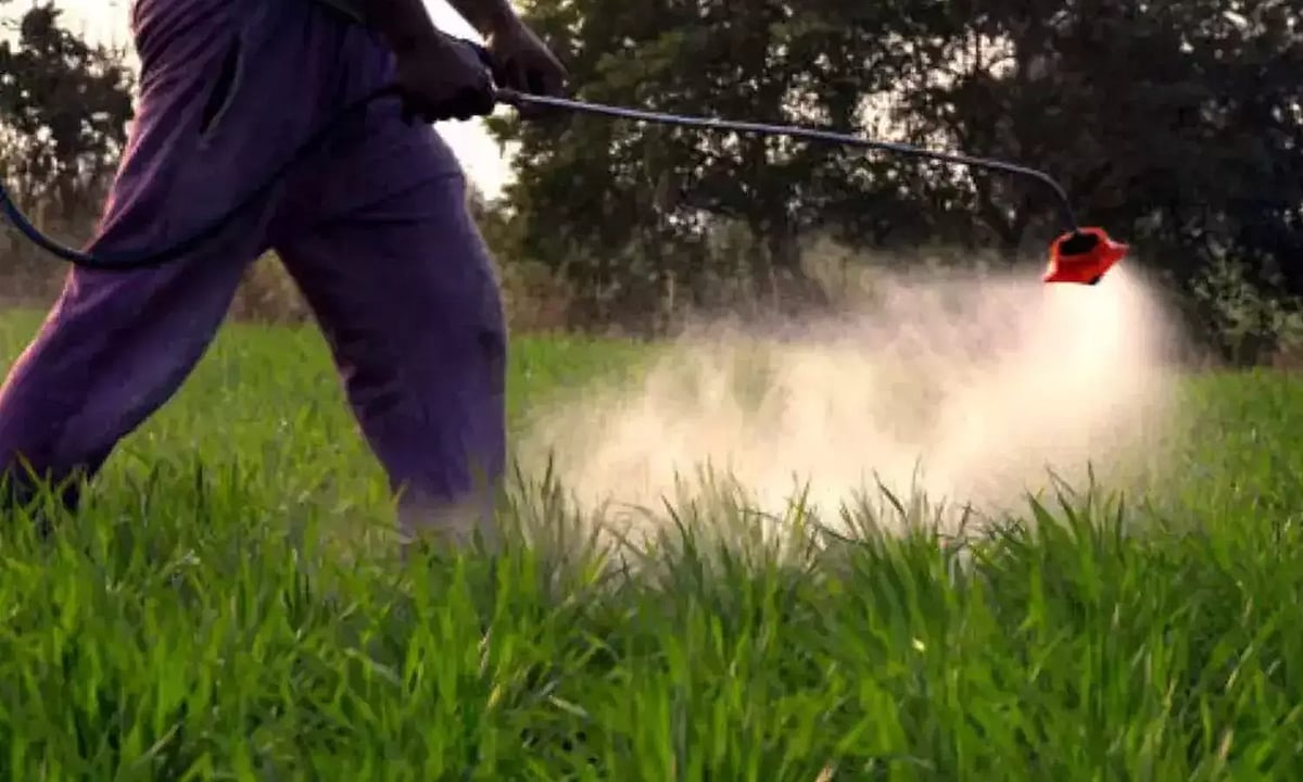 Insecticide-releasing house paint found to be effective in killing ...