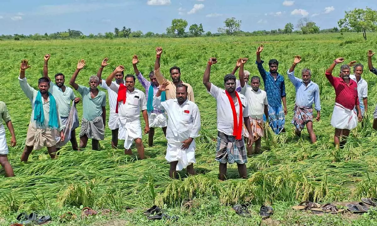 4. Thanjavur farmers protest seeking relief for crop loss due to rain