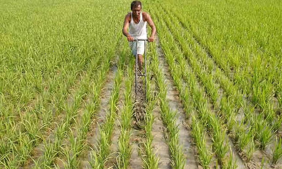 Tamil Nadu government to establish 50 new direct paddy procurement centres