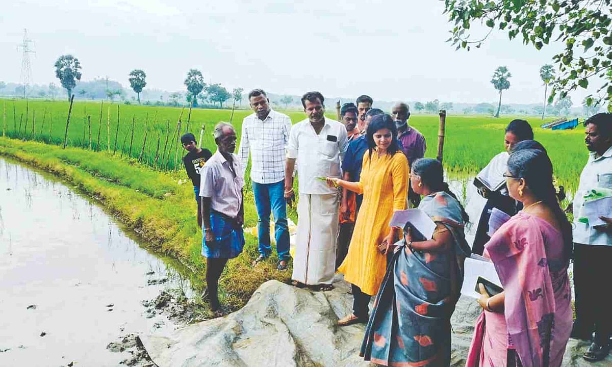 Monitoring officers inspect flood hit spots in Mayiladuthurai, Tiruvarur