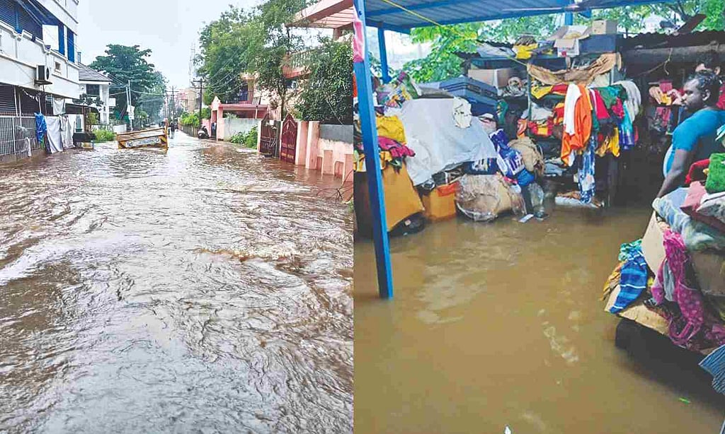 Crops lost, life hit, rains cause all-round havoc in TN Delta region
