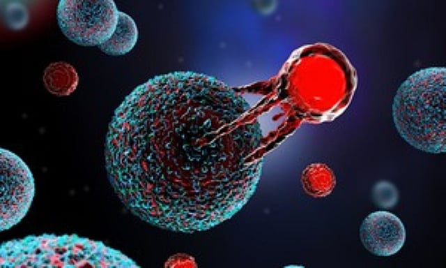 Immuneel launches affordable CAR T-cell therapy for non-Hodgkin’s ...