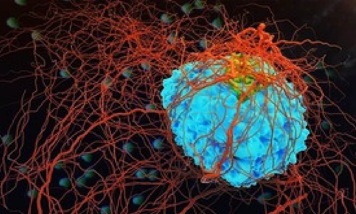New gene test detects pathogens in blood without amplification