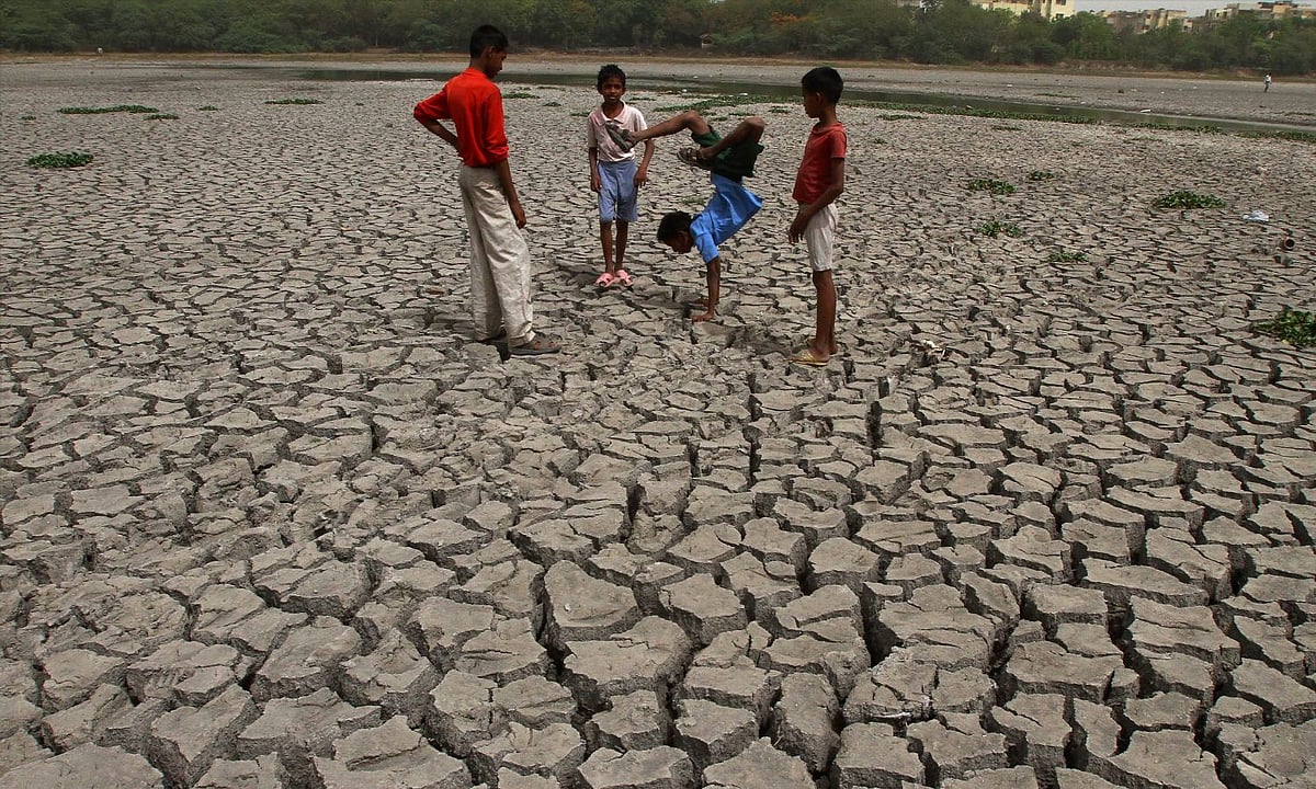 Include heatwaves in disaster management plans: Parliamentary panel ...