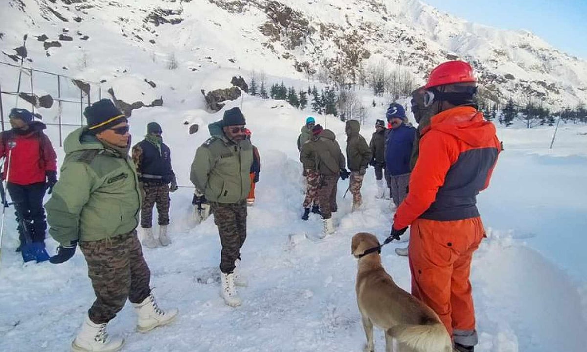 8 labourers lost their lives, while 46 were rescued: Govt tells Parl on ...