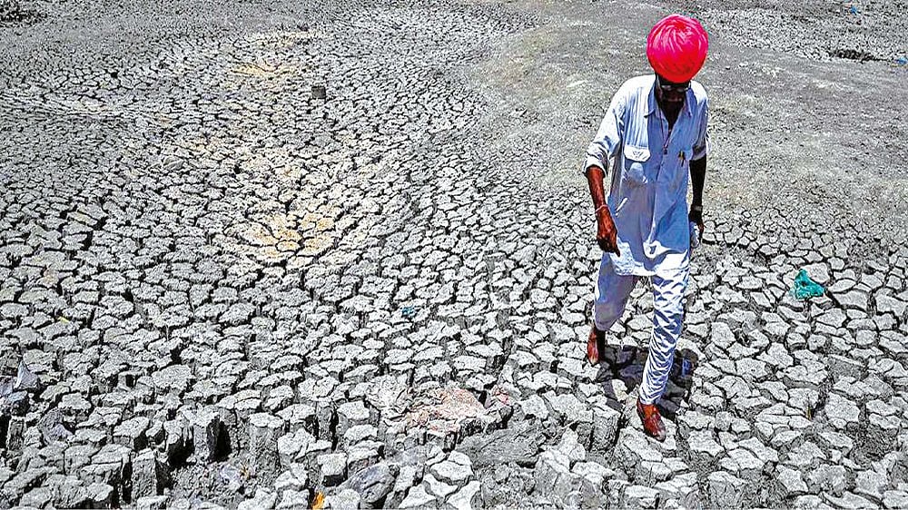 Surviving a future of extreme heat