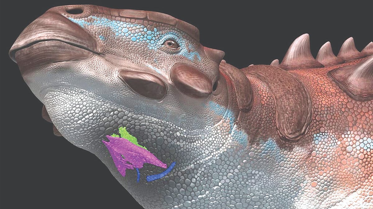 Prehistoric noise Jurassic jazz: What sounds did dinosaurs make?