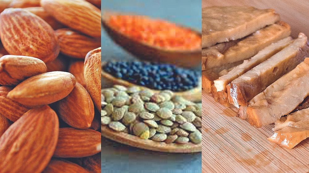 Eat like Monk: Triad of protein-rich plant-based food for Indian plate