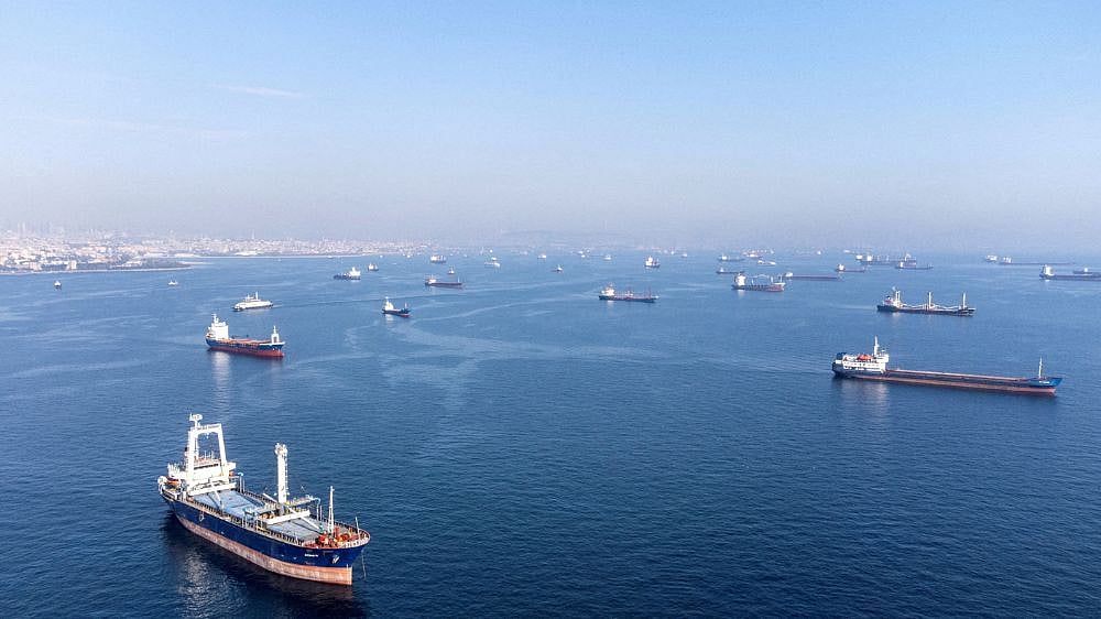 Shipments from Ukraine slowing as Black Sea grain deal deadline nears