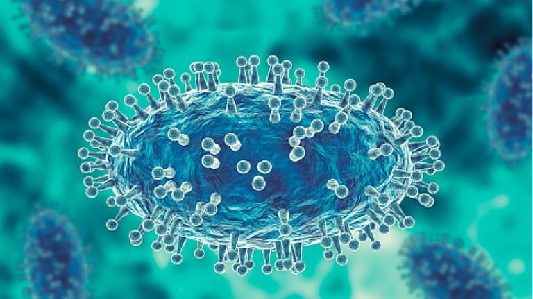 Viral infections could change how microbes react to warming: Study