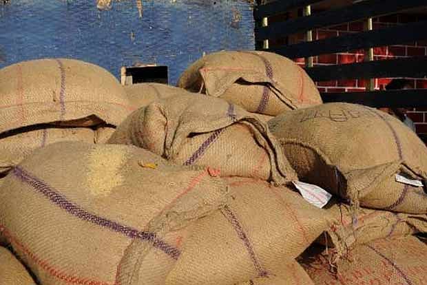 PDS rice seized during sand smuggling drive