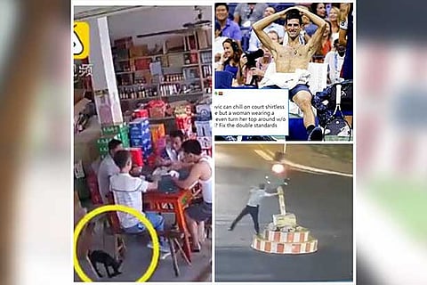 Trending in TN: Video of canine pick-pocket taking man’s wallet goes