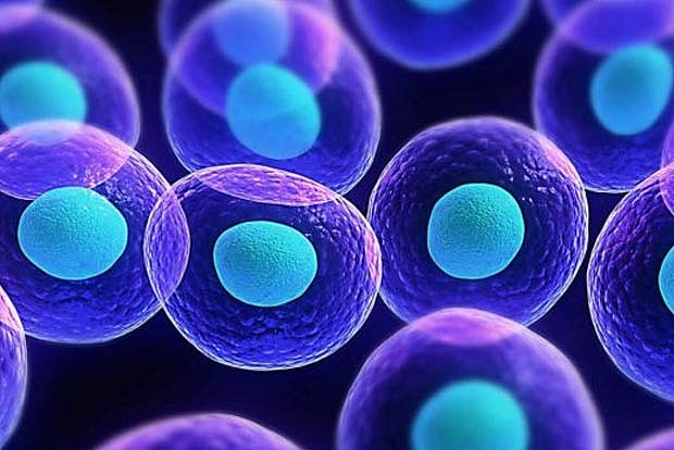 Researchers from IIT Madras use microgravity to create giant cancer cells