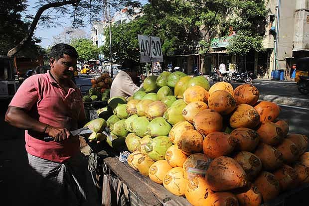 Tender coconut shortage hits Chennai suburbs amid heatwave