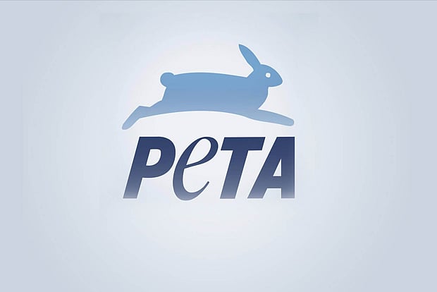 PETA urges Modi to shut slaughterhouses, meat shops on Gandhi Jayanti