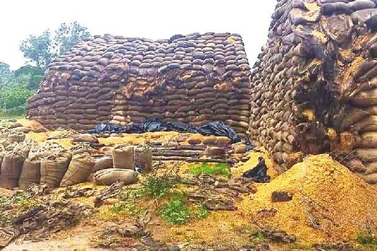 80,000 paddy bags yet to be procured in DPCs, says OPS