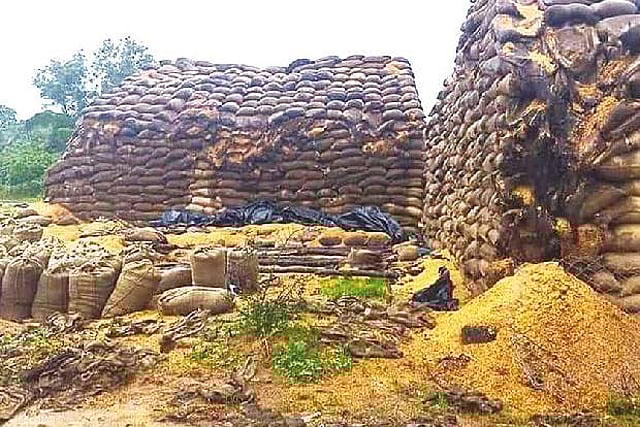 80,000 paddy bags yet to be procured in DPCs, says OPS