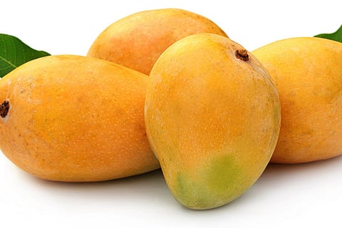 Grandma's wisdom: Why you must go mango!