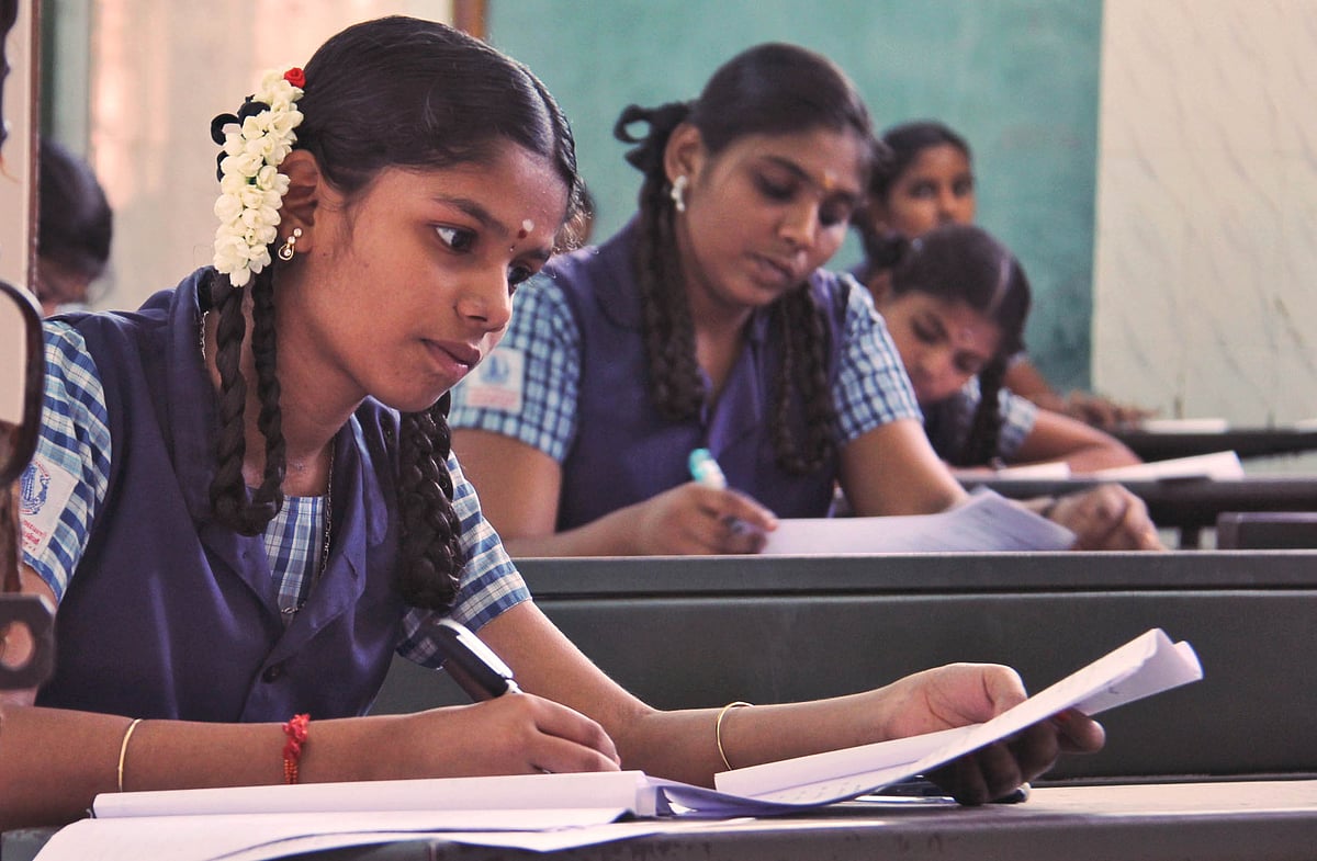 Tamil Nadu Class XII Board Exam Results 2024 Overall Pass Percentage