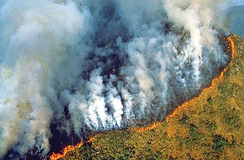 The Amazon rainforest fires have been burning for the past three weeks