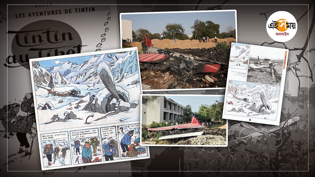 Tintin in Tibet crash real life event: তিব্বতে টিনটিনে ভেঙে পড়া বিমান ...