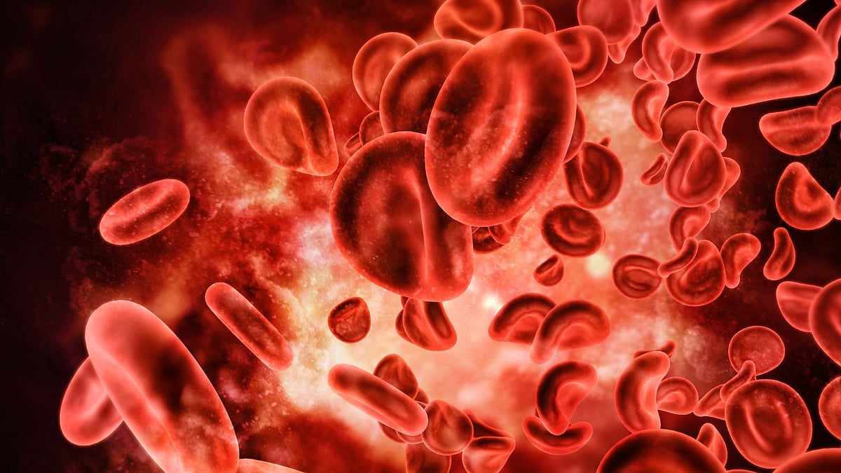 Platelets Count: বার বার কমে যায় প্লেটলেট কাউন্ট? কোন কোন খাবার খেলে ...