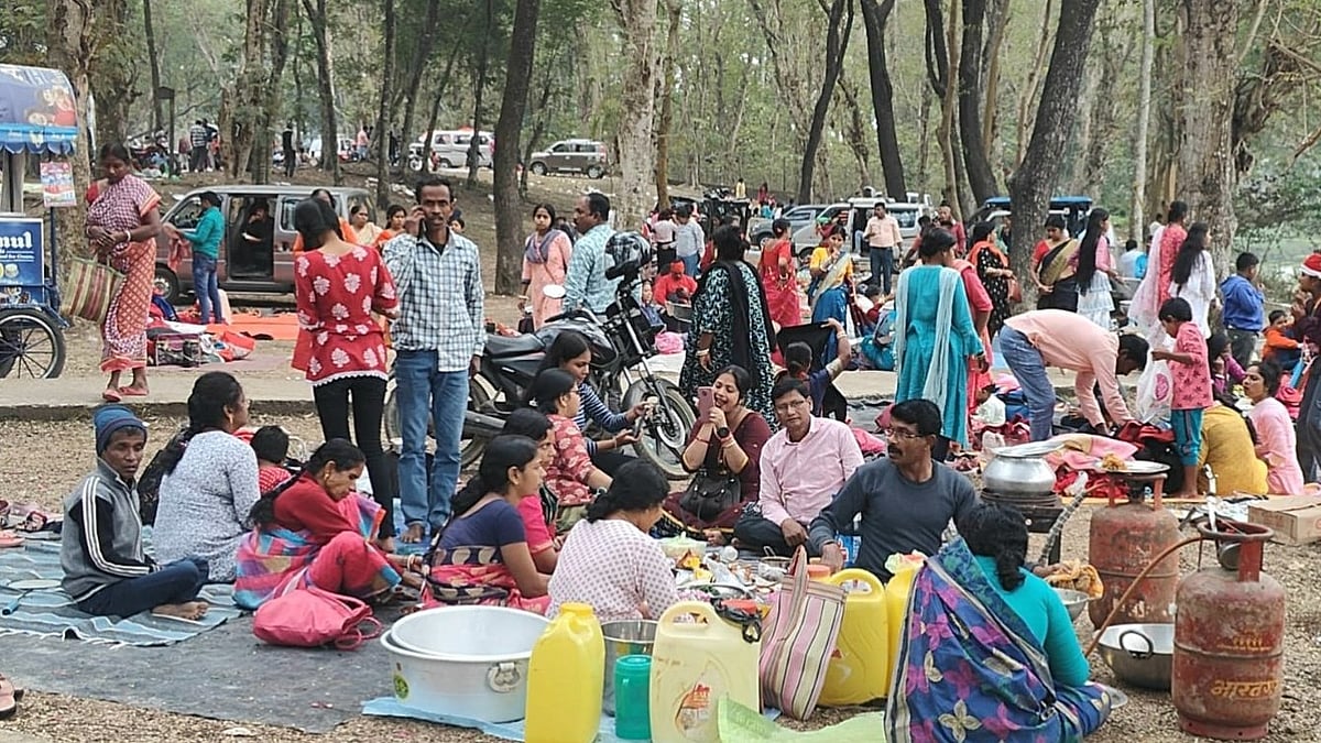 জঙ্গলে পিকনিকে নিষেধাজ্ঞা জারি, ক্যাম্প করে আটকাবে বন দপ্তর