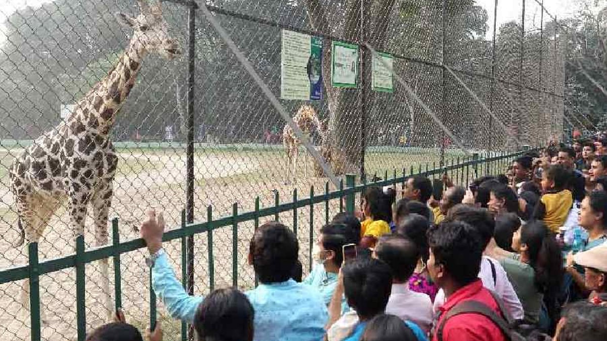 https://media.assettype.com/eisamay%2F2025-12-22%2F64v36ios%2Fkolkata-zoo?ar=40%3A21&auto=format%2Ccompress&enlarge=true&mode=crop&ogImage=true&overlay=false&overlay_position=bottom&overlay_width=100&w=1200