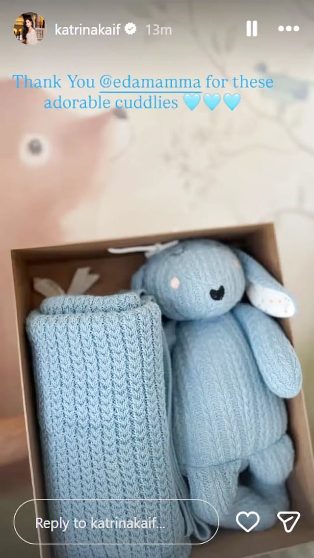 Alia Bhatt sends adorable gifts for Katrina Kaif and Vicky Kaushal's son Vihaan