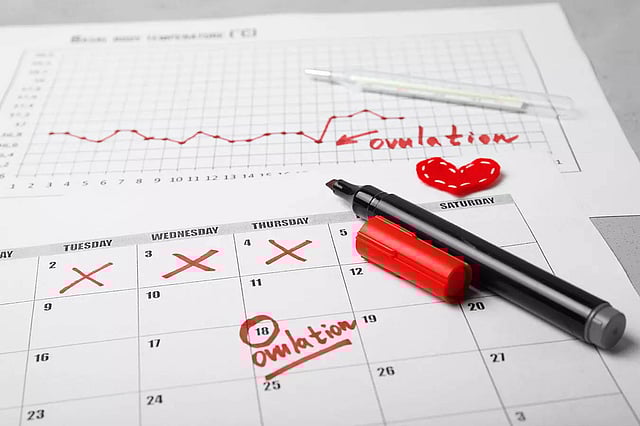 Жас, әдемі жігіттердің қатысуымен гей порно слэш бейнелері