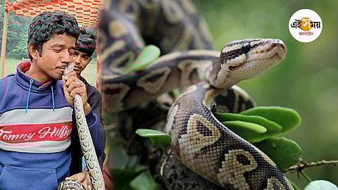 Surgutdagi VIP fohishalar