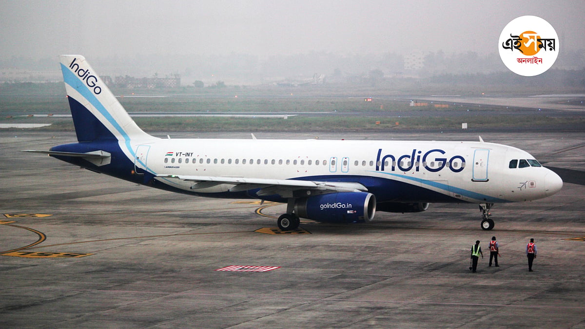IndiGo Flight