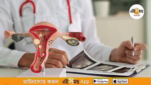 Yetuk Xitoy porno Abxaziya qizlar porno