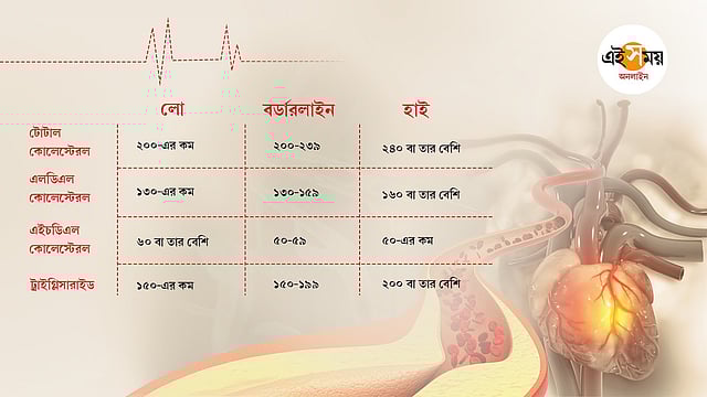 Kamenka, Cherkasy, Ukrainada jinsiy aloqa izlayotgan qizlar va ayollar