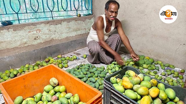 Busty yapon ayol tepasida becerdin oladi
