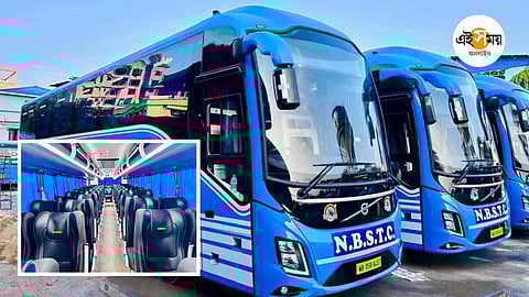 Ormonda ayolni sikish video