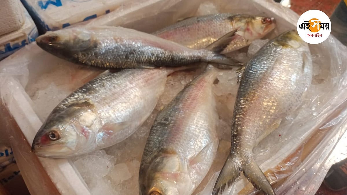 📈লেটেস্ট আপডেট📰 - ShareChat