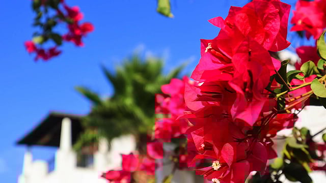 Rus svingerlarning xotini porno almashish