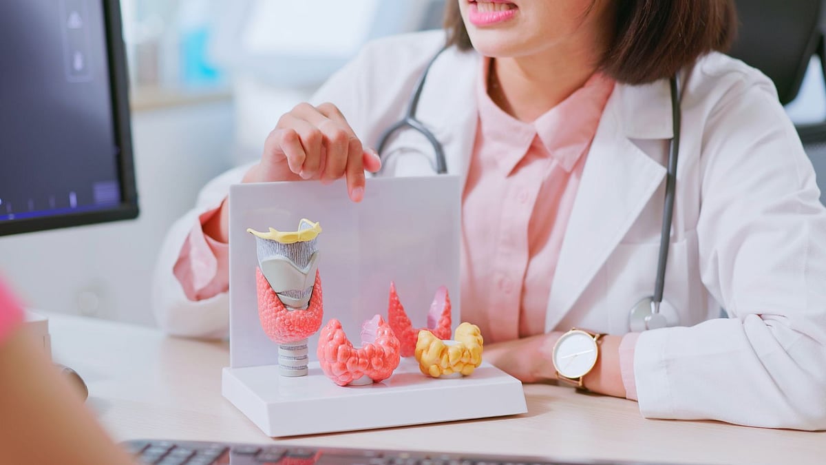 rcc3dworx rccmedia assemblies rar hajmi: 4.71 gb xxx