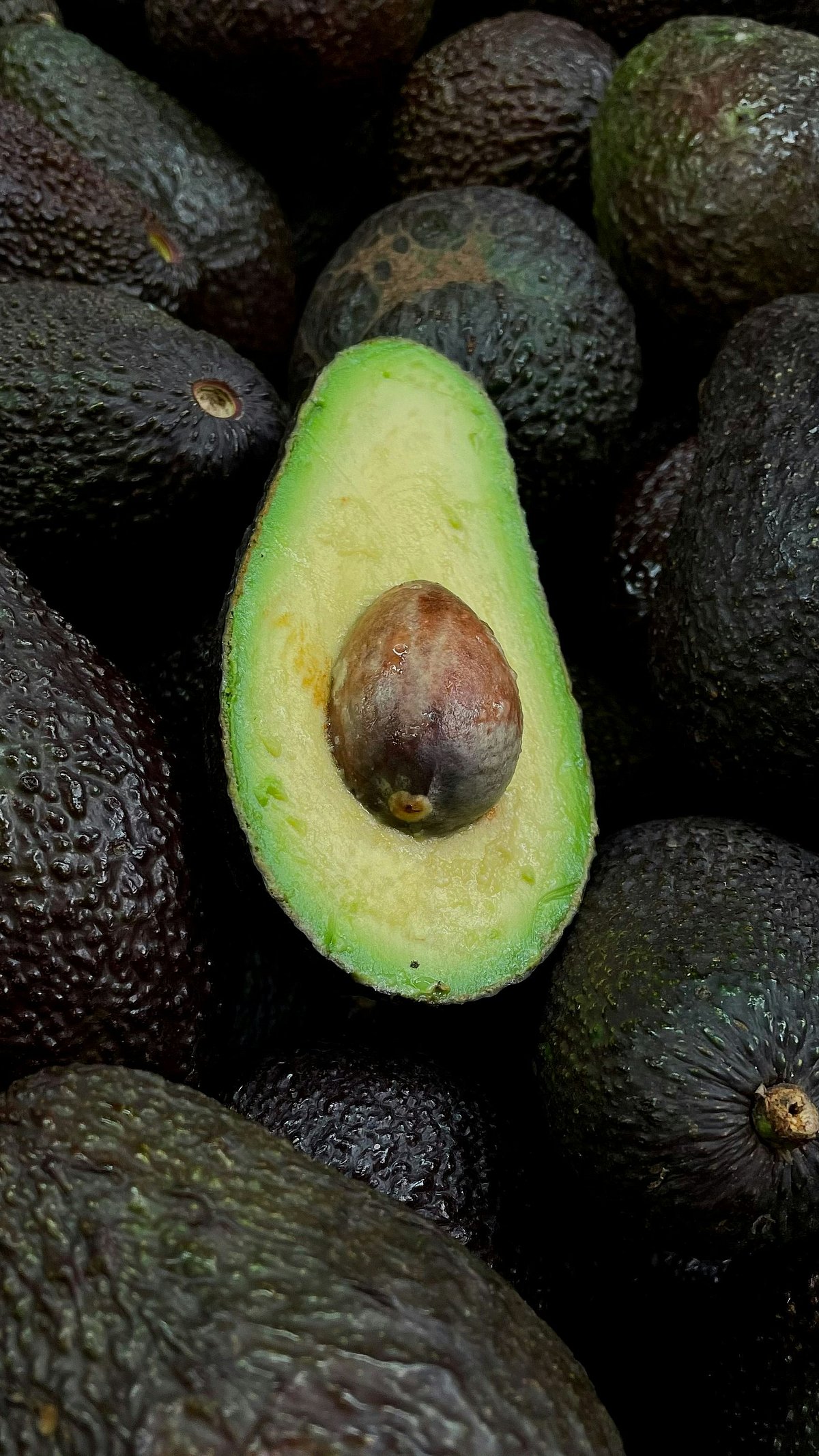 Avocados