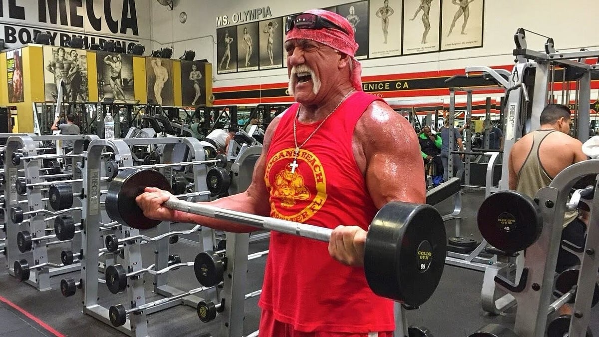 hulk hogan