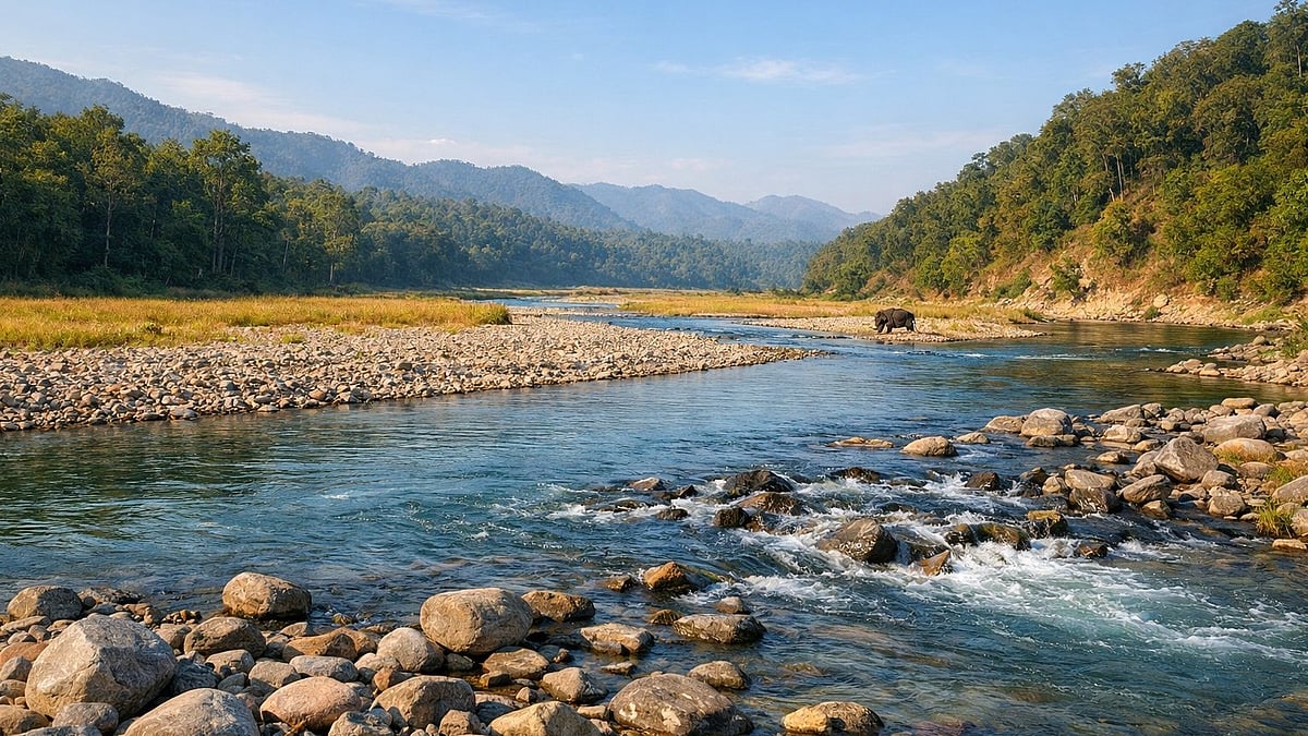 জিম করবেট ন্যাশনাল পার্ক