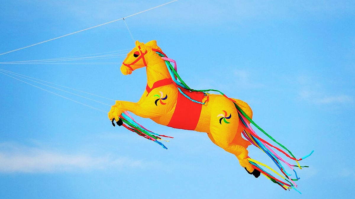 kite festival in gujarat 2026