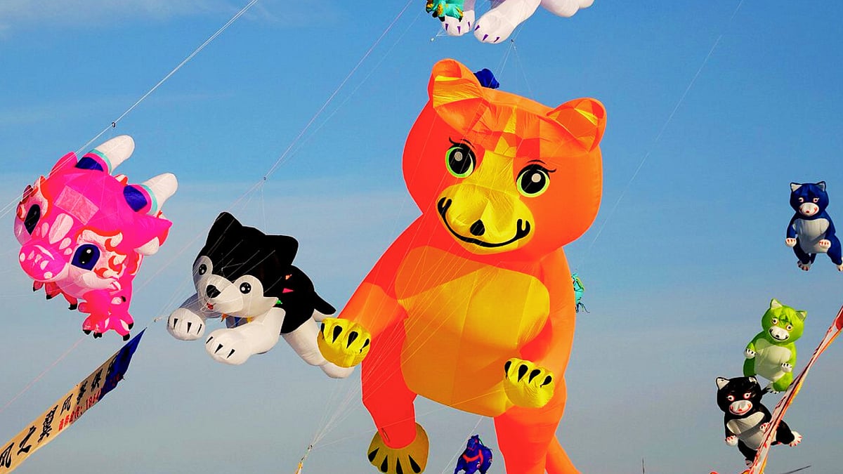 kite festival in gujarat 2026