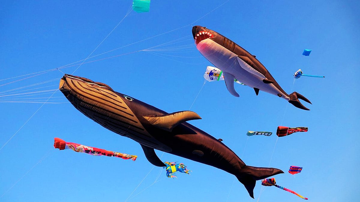 kite festival in gujarat 2026