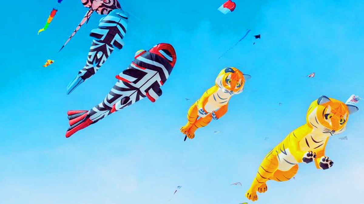 kite festival in gujarat 2026