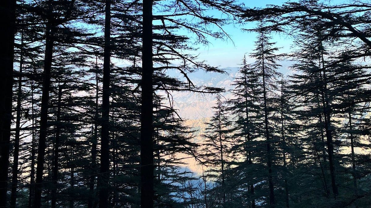 landour