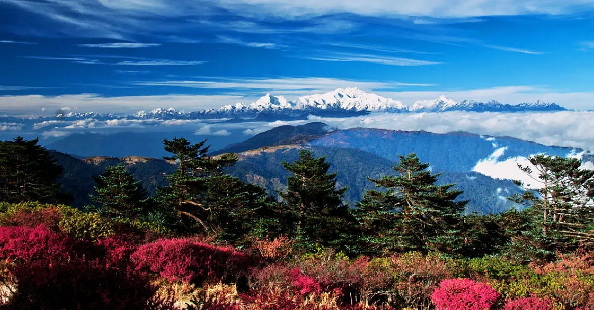 sandakphu trek